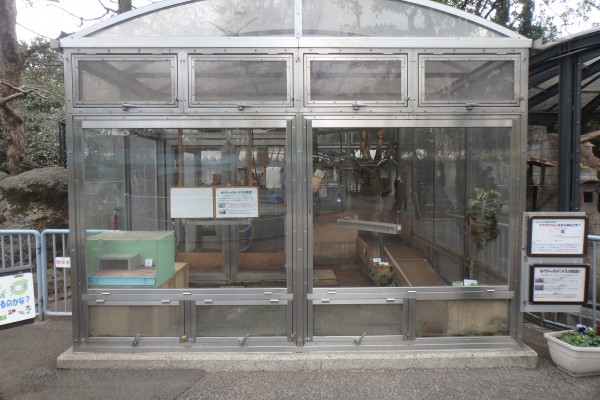 ホウシャガメ展示場