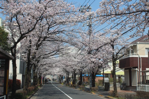 瑞江駅西通り