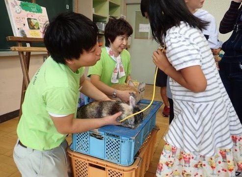 健康チェックの方法の指導