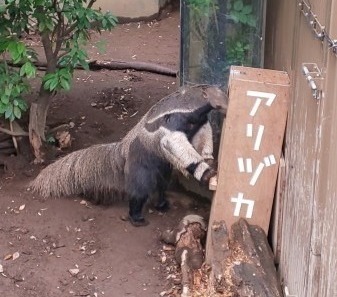 ちゃんと自炊してるのえらいね 自然動物園 公益財団法人 えどがわ環境財団