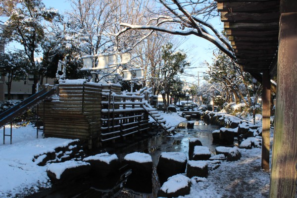 小松川境川親水公園雪景色