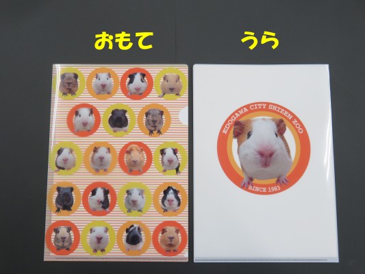 A4サイズ