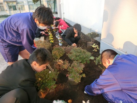 花植え