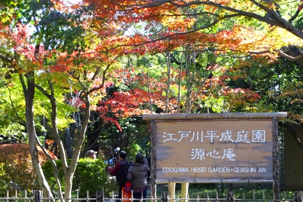 平成庭園・源心庵