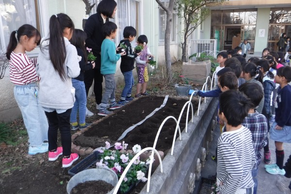 花植えの様子