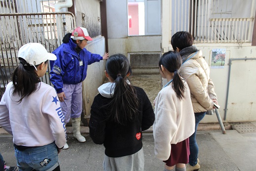 馬のお部屋の見学