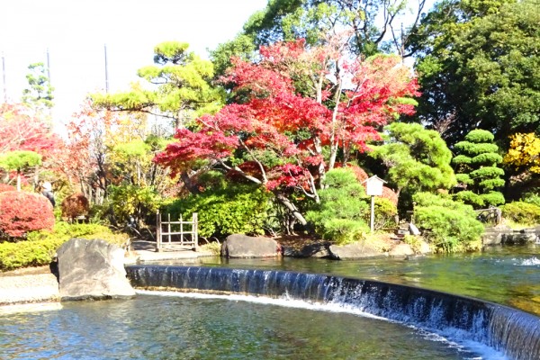 池の堰堤の流れ