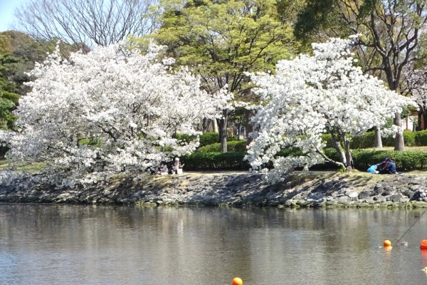 新左近川親水公園