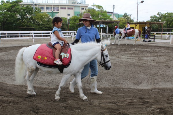 ポニー乗馬