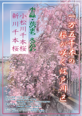 桜のポスター