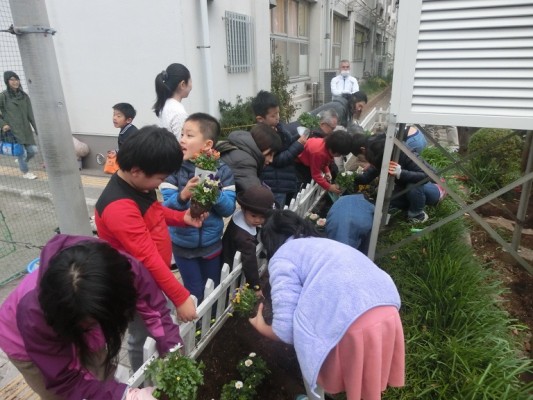 花植え