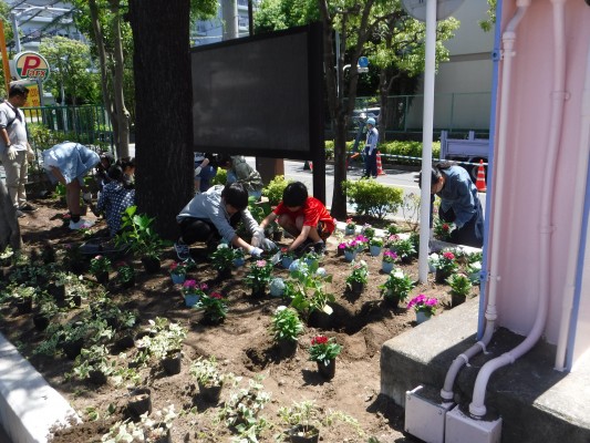 花植え中