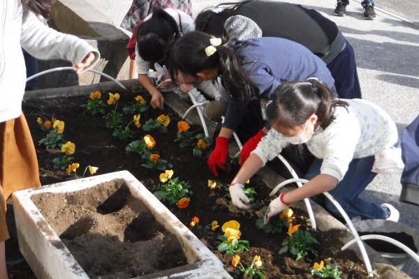 花植えの様子