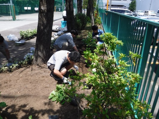 花植え中②