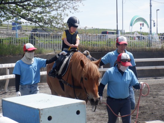 篠崎ポニーランド【障害児乗馬親子体験会8月】参加者募集 - イベント