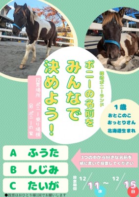 名馬列伝 クラシック91 十勝・帯広の「馬車BAR」で出会う、やさしい夜ー蹄のリズムが心を