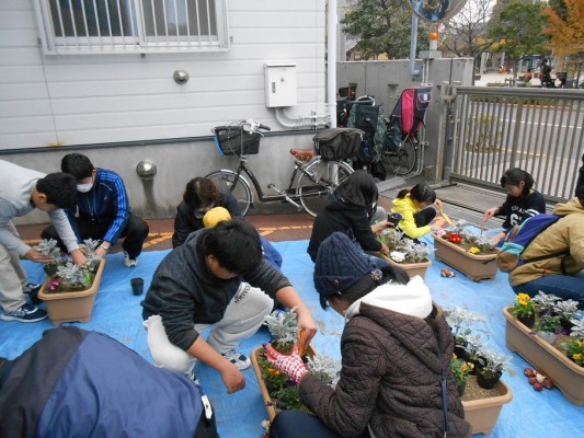 花植え