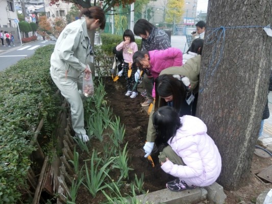 花植え