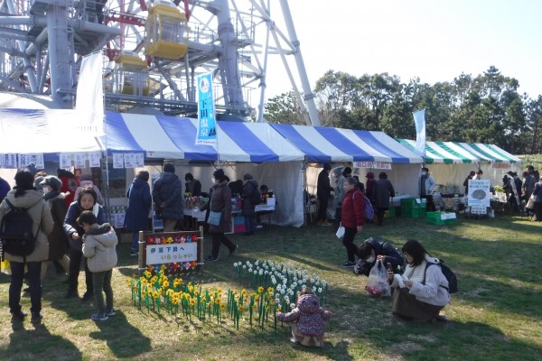 葛西臨海公園 水仙まつり に出展しました イベント情報 水とみどり 花の情報 公益財団法人 えどがわ環境財団