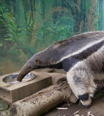 博士 その研究は危険です 自然動物園 公益財団法人 えどがわ環境財団