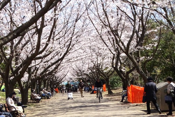 葛西臨海公園