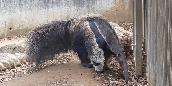 年03月の自然動物園ぶろぐ 自然動物園 公益財団法人 えどがわ環境財団