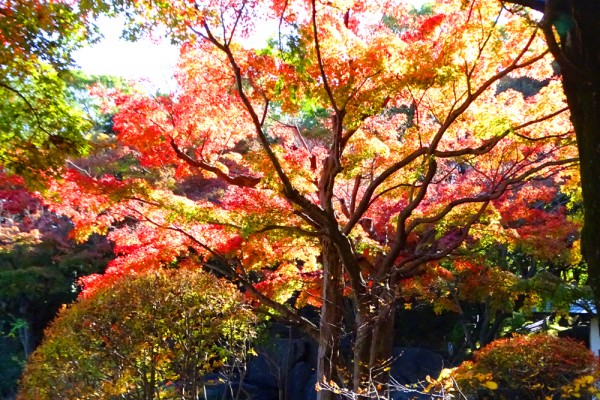 池東南の東屋近く