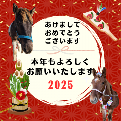 明けましておめでとうございます - ニュース - ポニーランド - 公益