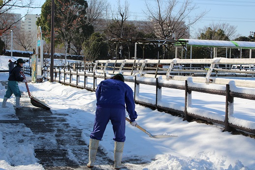 雪かき