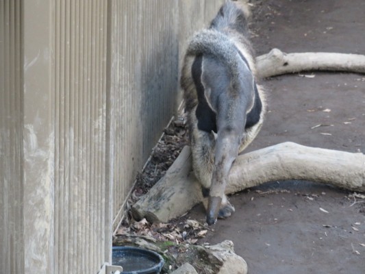 2020年03月の自然動物園ぶろぐ 自然動物園 公益財団法人 えどがわ環境財団