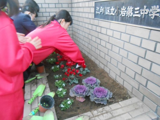 花植え