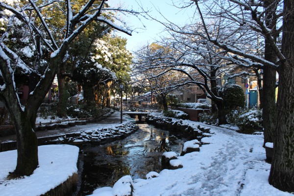 小松川境川親水公園雪景色