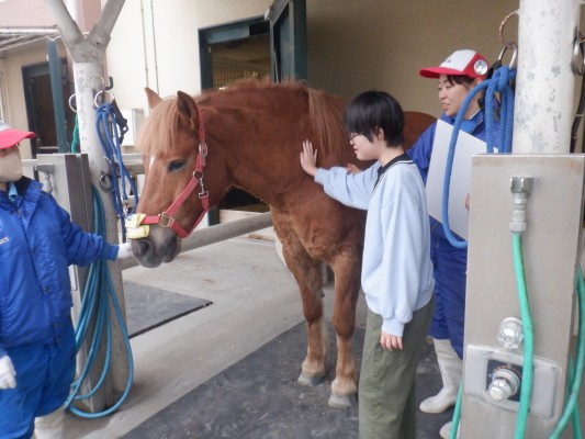 篠崎ポニーランド【障害児乗馬親子体験会8月】参加者募集 - イベント