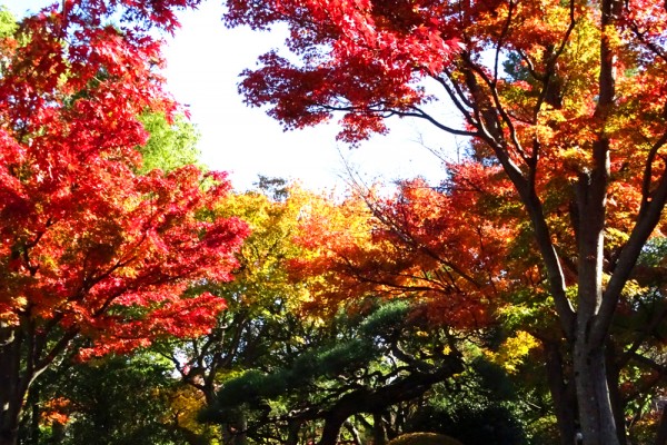 平成庭園