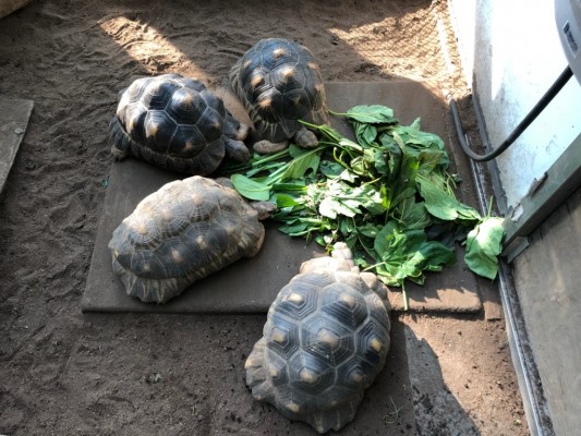 賑やかな食事