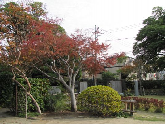 写真：一之江抹香亭