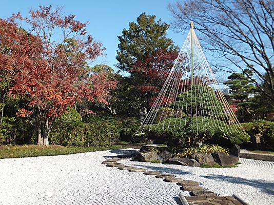 雪吊り（源心庵入り口）