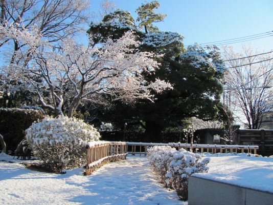 画像：抹香亭雪景色