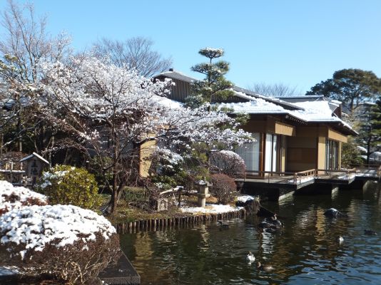 源心庵の雪景色