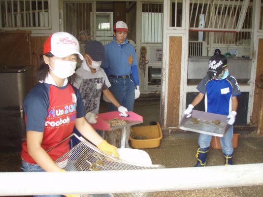 馬小屋のそうじ