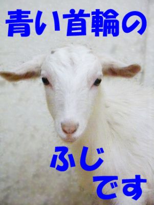 ふじちゃん