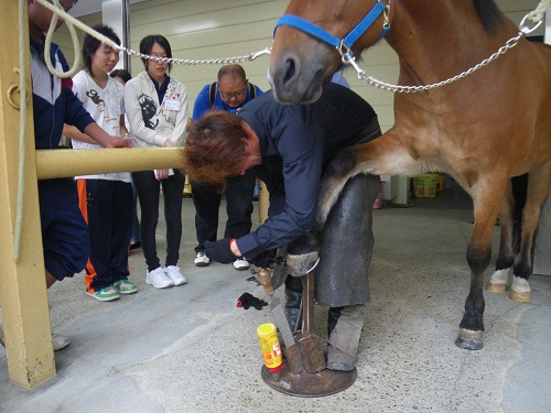 装蹄の様子