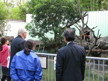 動物園を見学