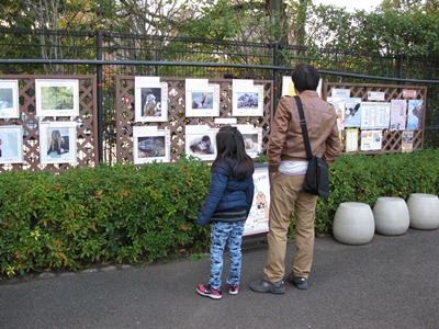 自然動物園作品展示会の様子