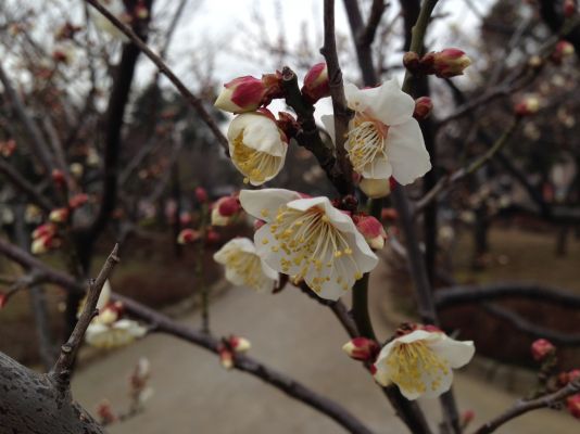 宇喜田東公園