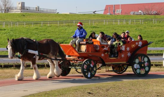 クリスマス馬車