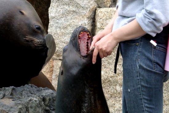 口の中をチェック