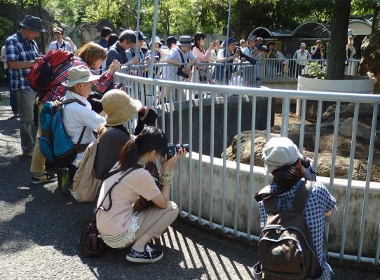 目線を下げて撮影する