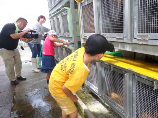 ウサギの部屋を掃除