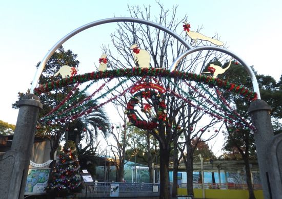 正門のクリスマス飾り